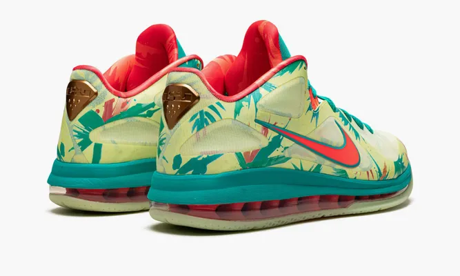 Для баскетбола Nike Lebron 9 Low «Lebronald Palmer 2022» зеленый