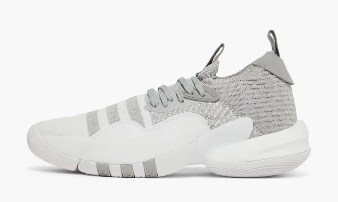 Для баскетбола Adidas Trae Young 2 «Grey Moon» серый,белый