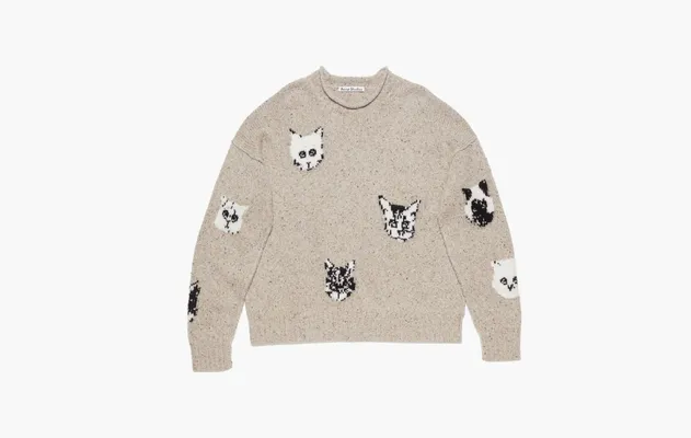 Одежда Acne Studios Jacquard Jumper «Beige» бежевый