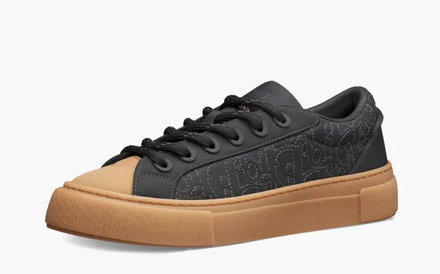 Кроссовки Stone Island x Dior B33 Skateboard Shoes «Black» черный