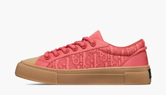Кроссовки Stone Island x Dior B33 Skateboard Shoes «Red» красный