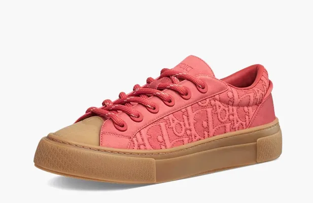 Кроссовки Stone Island x Dior B33 Skateboard Shoes «Red» красный