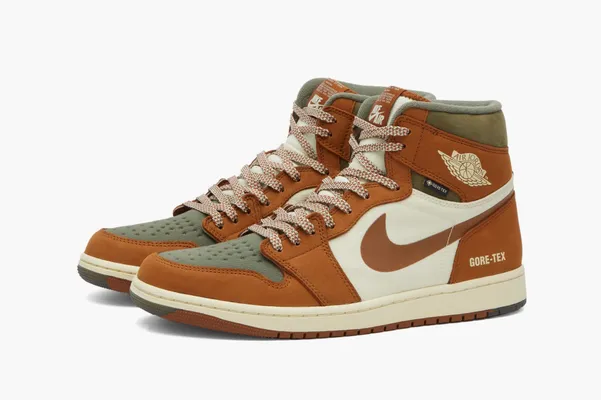 Кроссовки Air Jordan 1 High Element GORE-TEX «Legend Coffee» коричневый
