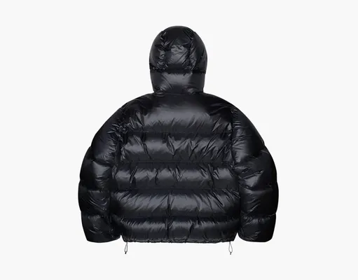 Одежда Stussy Micro Ripstop Down Parka «Black» черный