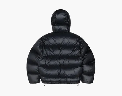 Одежда Stussy Down Parka Micro Ripstop «Phantom Black» черный
