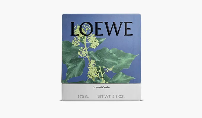 Парфюмерия Loewe Small Scented Candle «Ivy» розовый