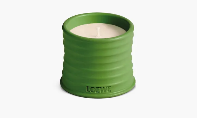 Парфюмерия Loewe Small Scented Candle «Luscious Pea» зеленый