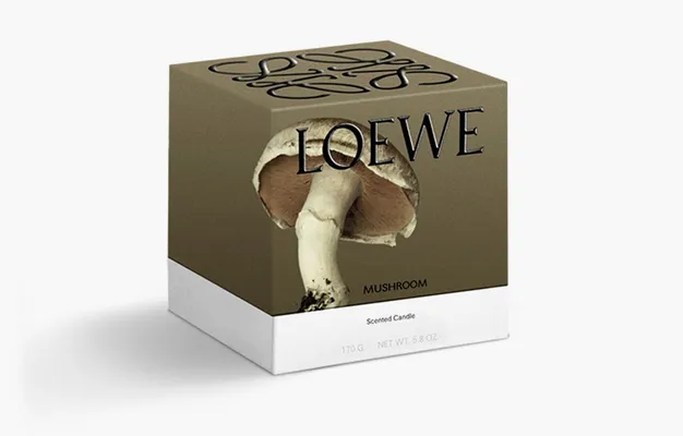 Парфюмерия Loewe Small Scented Candle «Mushroom» белый