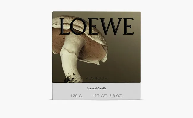 Парфюмерия Loewe Small Scented Candle «Mushroom» белый