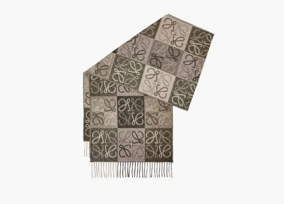 Аксессуары Loewe Scarf In Wool and Cashmere «Coffee» разноцветный