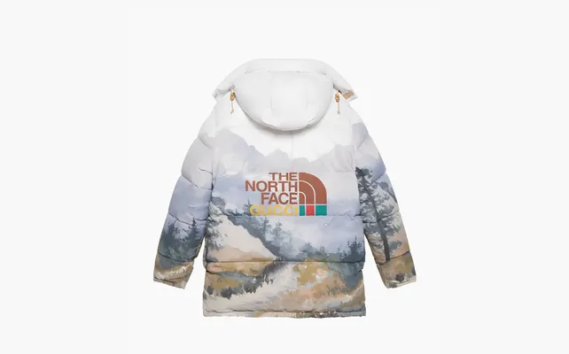 Одежда Gucci x The North Face Padded Jacket «Trail Print» белый