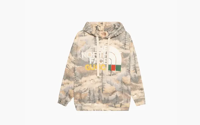 Одежда Gucci x The North Face Sweatshirt «Forest Print» разноцветный