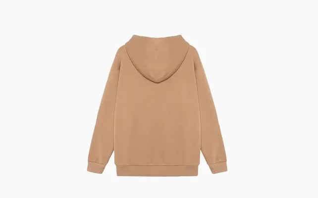 Одежда Gucci x The North Face Cotton Hoodie «Brown» коричневый