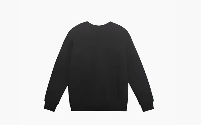 Одежда Gucci x The North Face Sweatshirt «Black» черный