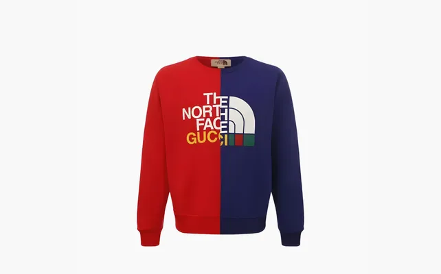 Одежда Gucci x The North Face Sweatshirt «Blue Red» разноцветный