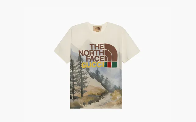 Одежда Gucci x The North Face T-shirt «Trail Print» разноцветный