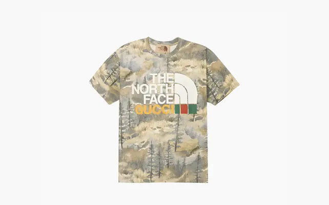 Одежда Gucci x The North Face T-shirt «Forest Print» разноцветный