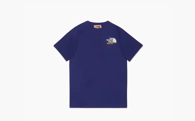 Одежда Gucci x The North Face T-shirt «Blue» синий