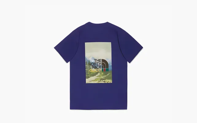 Одежда Gucci x The North Face T-shirt «Blue» синий