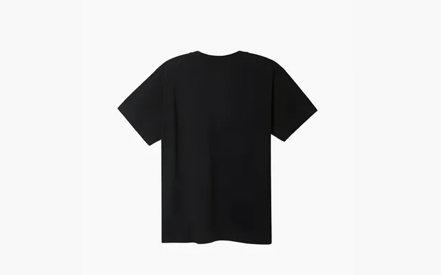 Одежда Gucci x The North Face T-shirt «Black» черный
