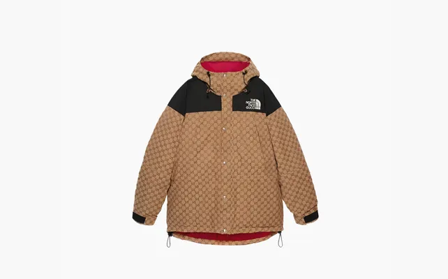Одежда Gucci x The North Face Down Jacket «Beige/Ebony» бежевый