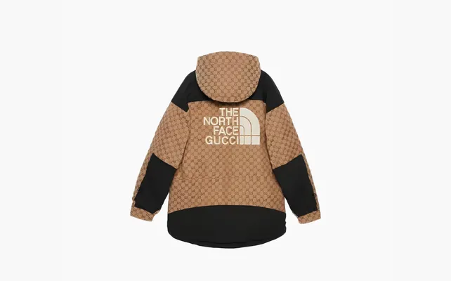 Одежда Gucci x The North Face Down Jacket «Beige/Ebony» бежевый