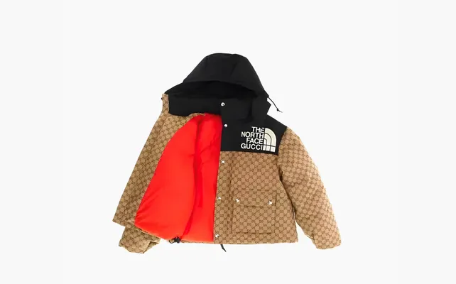 Одежда Gucci x The North Face GG Padded Short Jacket WMNS «Black Ebony Beige» бежевый