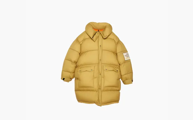 Одежда Gucci x The North Face Padded Jacket «Khaki» коричневый