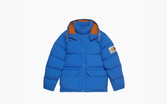 Одежда Gucci x The North Face Padded Jacket «Blue» синий