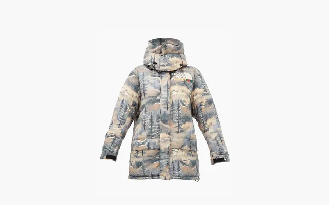  Gucci x The North Face Padded Jacket «Forest Print» raznotsvetnye