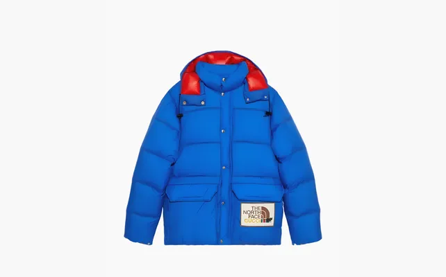  Gucci x The North Face Down Jacket «Blue» sinie