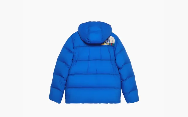  Gucci x The North Face Down Jacket «Blue» sinie