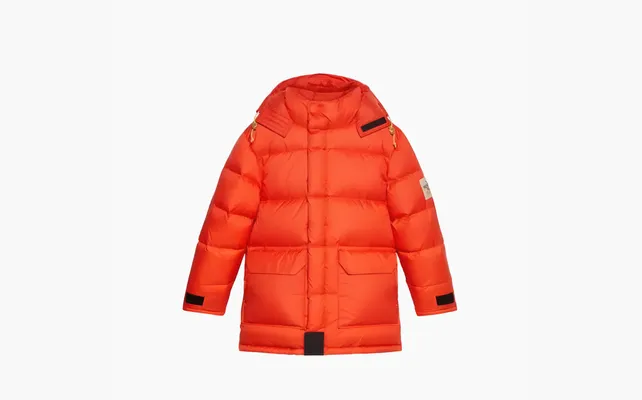  The North Face X GUCCI Down Jackets Men «Orange» oranzhevye