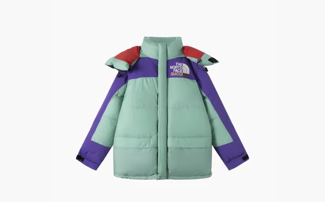  The North Face X GUCCI Down Jackets Men «Multicolor» raznotsvetnye