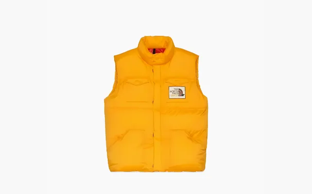  Gucci x The North Face Down Vest «Yellow» zhyeltye