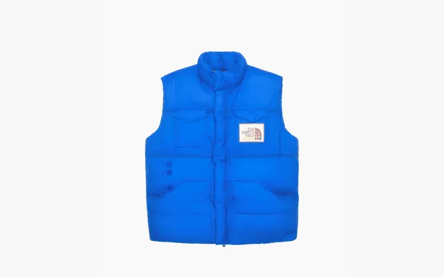  Gucci x The North Face Down Vest (FW21) «Blue» sinie