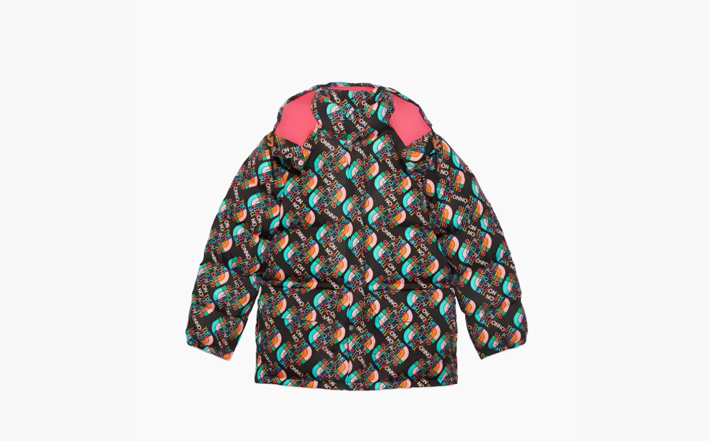 Gucci x The North Face Down Jacket «Multicolor/Black»