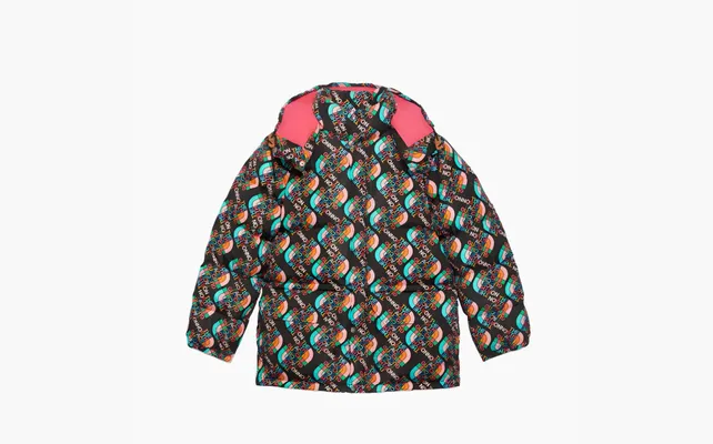  Gucci x The North Face Down Jacket «Multicolor/Black» raznotsvetnye