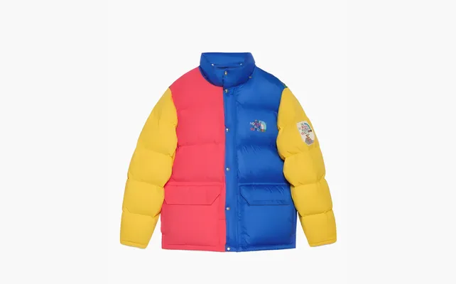  Gucci x The North Face Down Jacket «Yellow/Red/Blue/Green Colorblock» raznotsvetnye