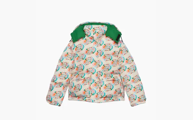  Gucci x The North Face Down Jacket «Multicolor/Ivory» raznotsvetnye