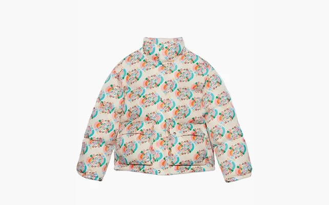  Gucci x The North Face Down Jacket «Multicolor/Ivory» raznotsvetnye