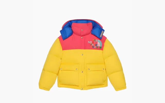  Gucci x The North Face Down Jacket «Yellow/Multicolor» zhyeltye