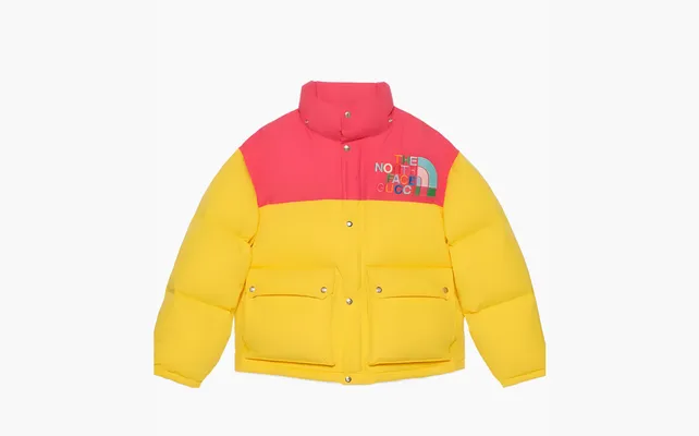  Gucci x The North Face Down Jacket «Yellow/Multicolor» zhyeltye