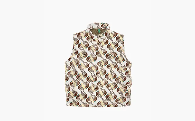  Gucci x The North Face Down Vest «Ivory Brown» korichnevye