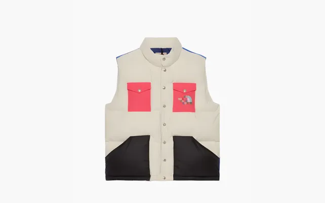  Gucci x The North Face Down Vest «White/Dark Pink/Black/Blue» raznotsvetnye