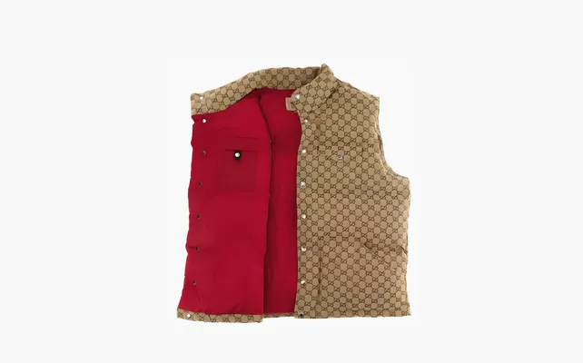  Gucci x The North Face Down Vest «Beige/Ebony» korichnevye
