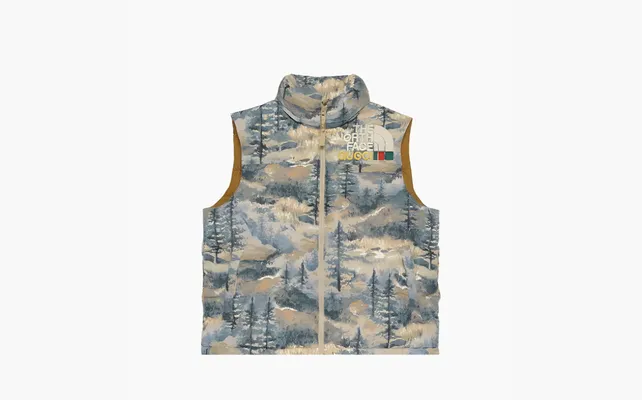  Gucci x The North Face Padded Vest «Forest Print» raznotsvetnye