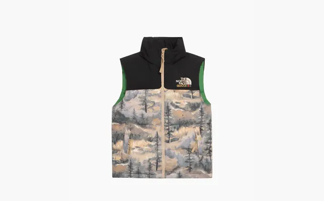  Gucci x The North Face Down Vest «Forest Print» raznotsvetnye