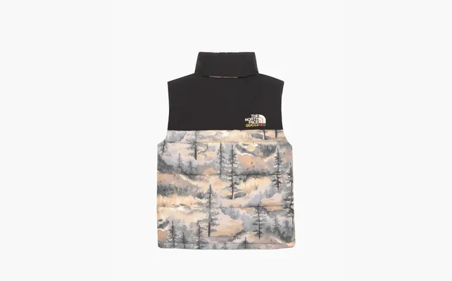  Gucci x The North Face Down Vest «Forest Print» raznotsvetnye