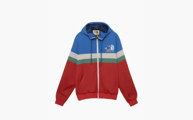  Gucci x The North Face Hooded Jacket «Multicolor» raznotsvetnye